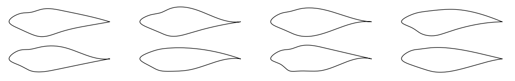 Seed of randomized airfoils